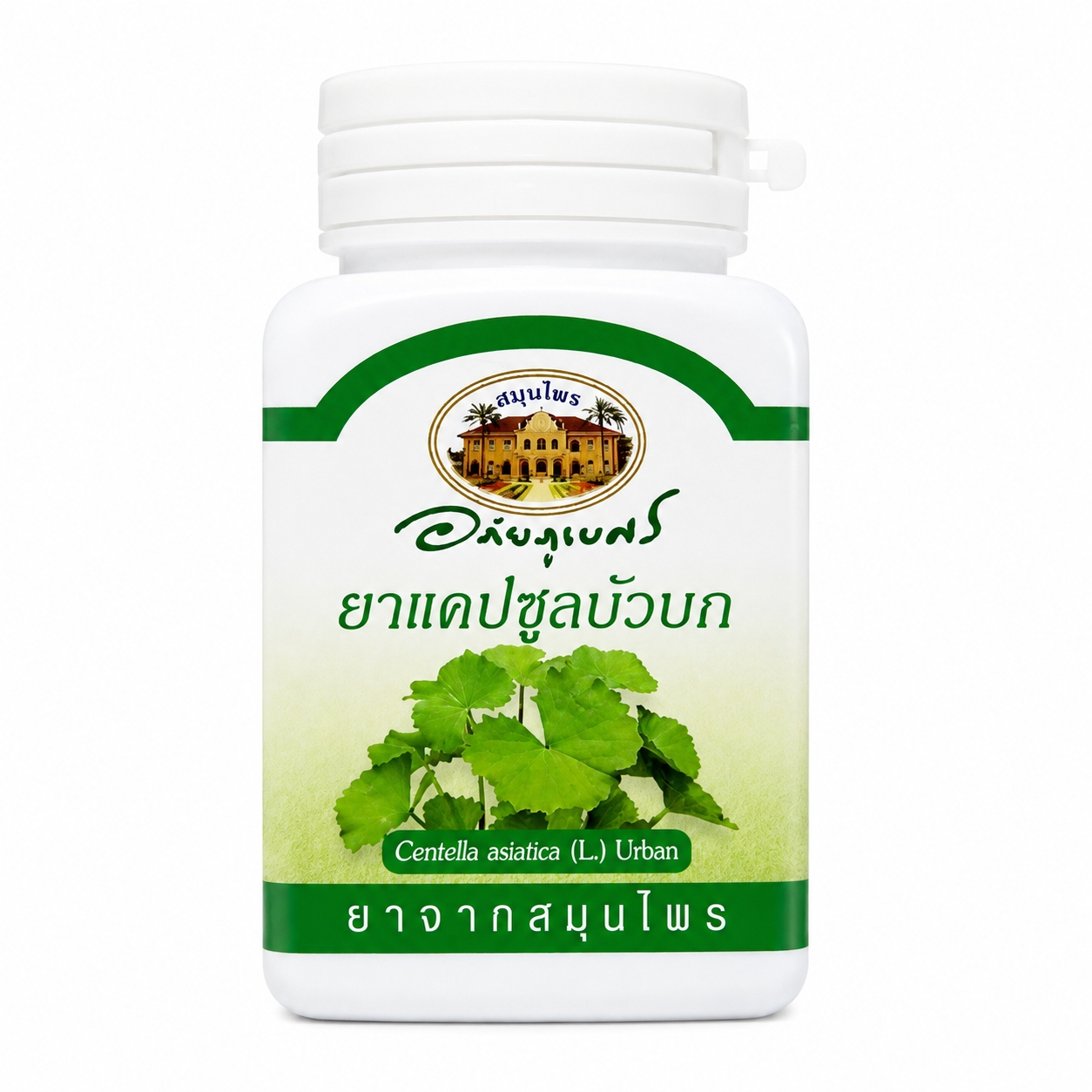 ยาแคปซูลบัวบก อภัยภูเบศร | Centella asiatica Capsules Abhaibhubejhr 70แคปซูล