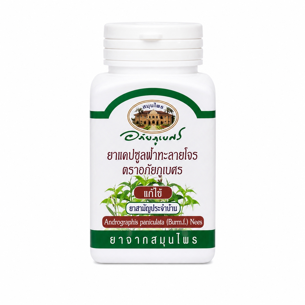 ยาแคปซูลฟ้าทะลายโจร อภัยภูเบศร | Andrographis paniculata Capsules Abhaibhubejhr 60แคปซูล