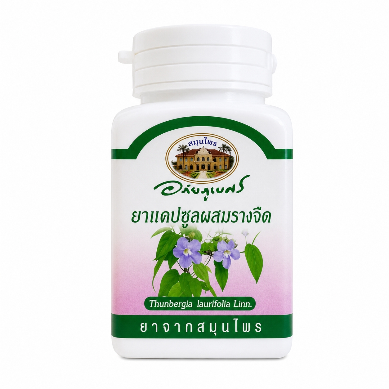 ยาแคปซูลผสมรางจืด อภัยภูเบศร | Thunbergia laurifolia Capsules Abhaibhubejhr 70แคปซูล