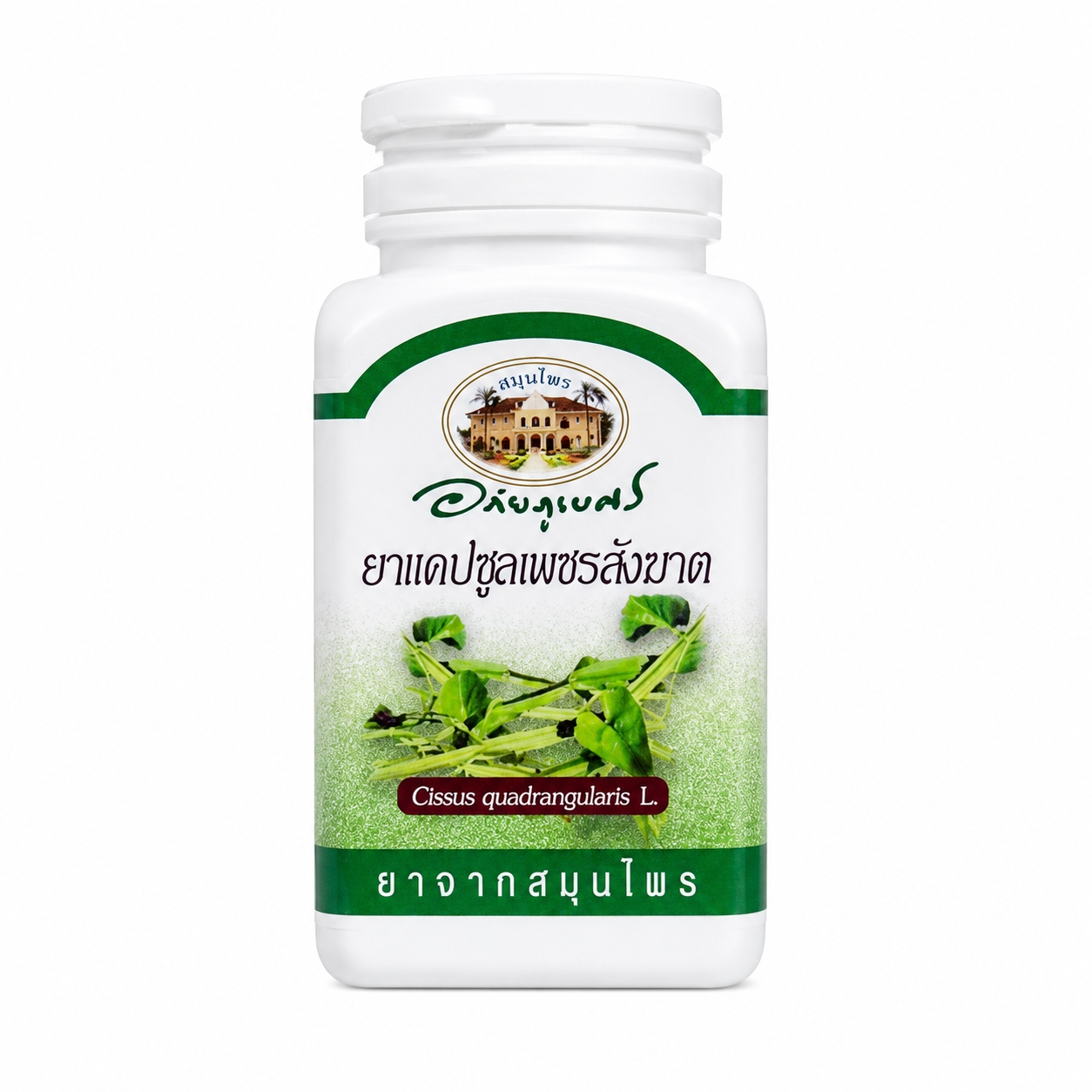 ยาแคปซูลเพชรสังฆาต อภัยภูเบศร | Cissus quadrangularis Capsules Abhaibhubejhr 70แคปซูล